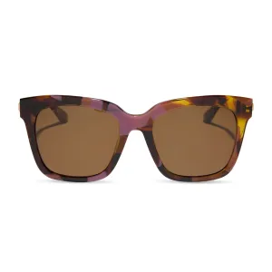 BELLA - TORINO TORTOISE   BROWN   POLARIZED SUNGLASSES